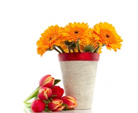 Природа 542