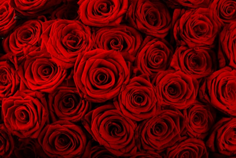 Природа 1014